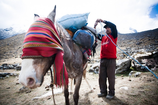 Guia and horse on Salkantay trek